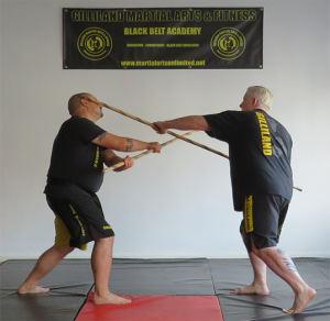 Adult Martial Arts